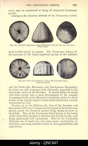 Die alte Lebensgeschichte der Erde (Seite 267) Stockfoto
