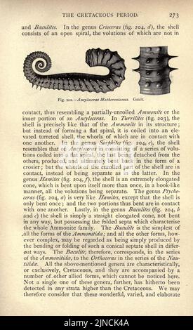 Die alte Lebensgeschichte der Erde (Seite 273) Stockfoto