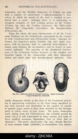 Die alte Lebensgeschichte der Erde (Seite 280) Stockfoto