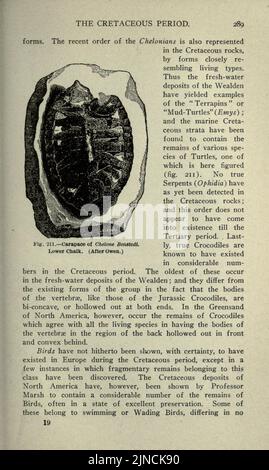 Die alte Lebensgeschichte der Erde (Seite 289) Stockfoto