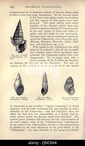 Die alte Lebensgeschichte der Erde (Seite 294) Stockfoto