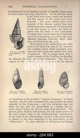 Die alte Lebensgeschichte der Erde (Seite 294) Stockfoto