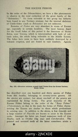 Die alte Lebensgeschichte der Erde (Seite 305) Stockfoto