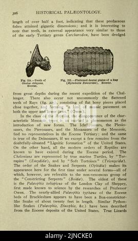 Die alte Lebensgeschichte der Erde (Seite 306) Stockfoto