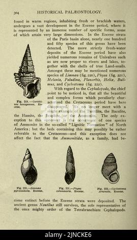 Die alte Lebensgeschichte der Erde (Seite 304) Stockfoto