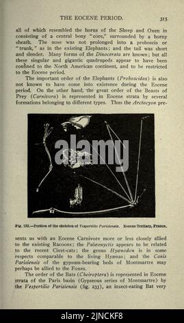 Die alte Lebensgeschichte der Erde (Seite 315) Stockfoto