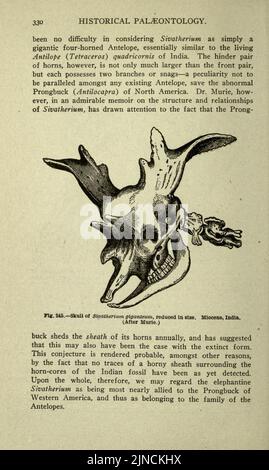 Die alte Lebensgeschichte der Erde (Seite 330) Stockfoto