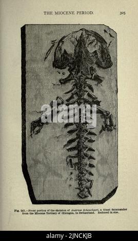 Die alte Lebensgeschichte der Erde (Seite 325) Stockfoto