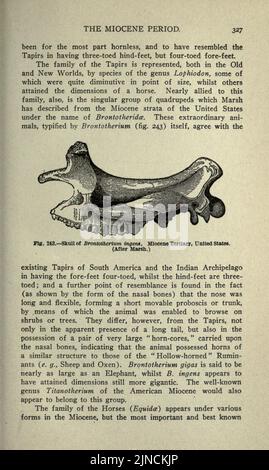 Die alte Lebensgeschichte der Erde (Seite 327) Stockfoto