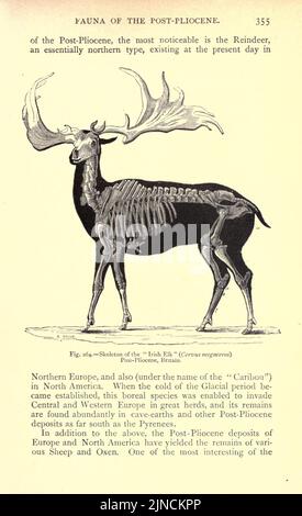 Die alte Lebensgeschichte der Erde (Seite 355) Stockfoto
