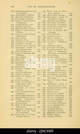 Die alte Lebensgeschichte der Erde (Seite xvi) Stockfoto