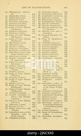 Die alte Lebensgeschichte der Erde (Seite xv) Stockfoto