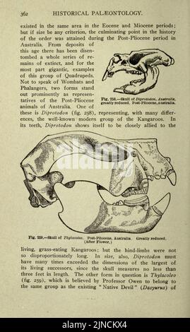 Die alte Lebensgeschichte der Erde (Seite 362) Stockfoto