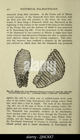 Die alte Lebensgeschichte der Erde (Seite 372) Stockfoto