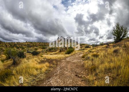 Ein Blick auf Tonto National Forest, Arizona Stockfoto