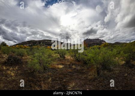 Ein Blick auf Tonto National Forest, Arizona Stockfoto