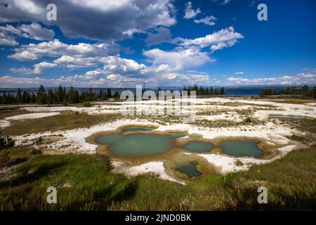 West Thumb Geyser Basin im Yellowstone National Park, Teton County, Wyoming, USA. Mimulus Pools im Vordergrund und Yellowstone Lake in der Ferne. Stockfoto