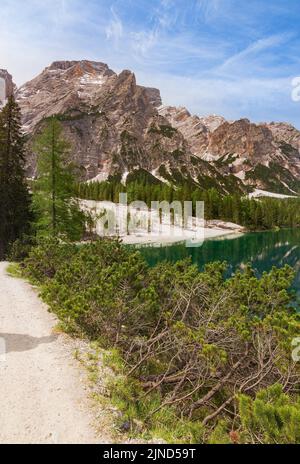 Blick vom Wanderweg am See auf den Seekofel, der sich im klaren Wasser des berühmten Naturgebirgssees Pragser Wildsee (Pragser See) spiegelt Stockfoto