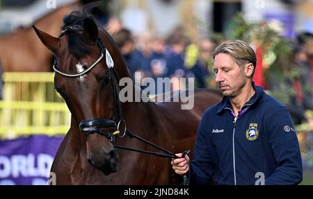 Herning, Dänemark. 10. August 2022. Weltreiterspiele. Stallungen. Patrik Kittel (SWE) beim TOUCHDOWN während der Dressurpferdeprüfung. Kredit: Sport In Bildern/Alamy Live Nachrichten Stockfoto