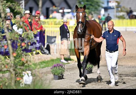 Herning, Dänemark. 10. August 2022. Weltreiterspiele. Stallungen. Steffen Peters (USA) reitet SUPPENKASPER während der Dressurpferdeprüfung. Kredit: Sport In Bildern/Alamy Live Nachrichten Stockfoto