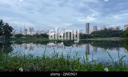 Blick auf den Ibirapuera Park, den ersten Stadtpark in São Paulo, Brasilien, und einen der meistbesuchten Parks Südamerikas. Stockfoto