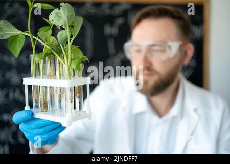 Hübscher männlicher Mikrobiologe, der in einem Reagenzglas eine grüne Pflanze ansieht. Laborbiologe führt Experimente durch. Medizinische Wissenschaftler arbeiten in einem modernen Stockfoto