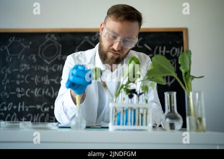 Biochemiker in Latexhandschuhen berühren Reagenzglas mit kleiner Pflanze, während Experimente im Biotechnologielabor, kopieren Raum Stockfoto