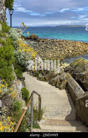 Der South West Coast Path am St Ives Head in Cornwall, mit Godrevy Lighthouse in der Ferne. Stockfoto