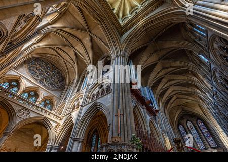 Das Innere der prächtigen Truro Kathedrale in Cornwall zeigt die Details der Schnitzereien und gotischen Bögen der Decke und des Dachs. Stockfoto