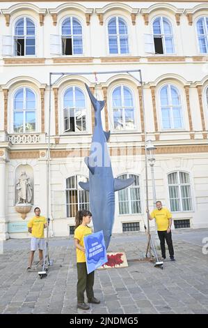 Wien, Österreich. 11.. August 2022. Greenpeace übergibt eine Petition zum Schutz der Meere an das österreichische Außenministerium, die von 463.300 Menschen in Österreich unterzeichnet wurde. Ein fünf Meter hoher Dummy-Hai wurde vor dem Außenministerium aufgehängt, um an den ernsthaften Meeresschutz zu erinnern. Quelle: Franz Perc/Alamy Live News Stockfoto