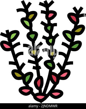 Rote ludwigia Farbe Symbol Vektor-Illustration Stock Vektor