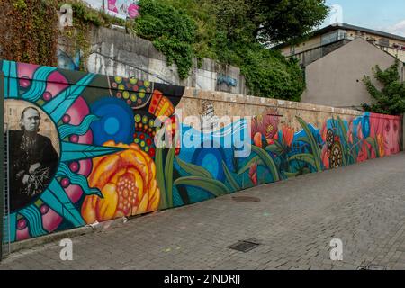 Street Art in Saint Kierans Street, Kilkenny, Co. Kilkenny, Irland Stockfoto