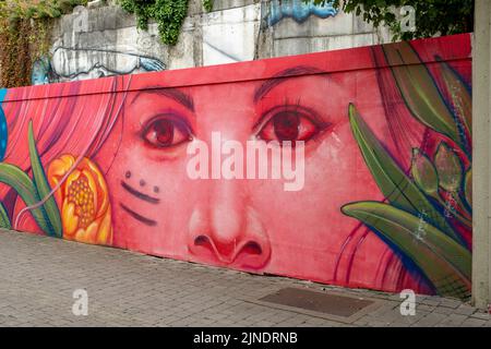 Street Art in Saint Kierans Street, Kilkenny, Co. Kilkenny, Irland Stockfoto