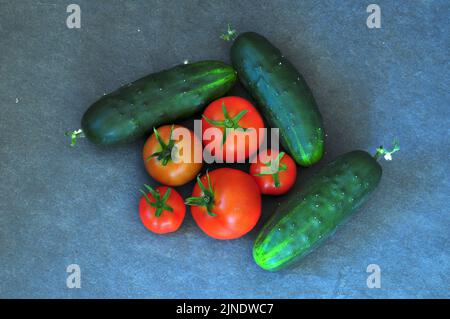 Frisch gepflückte Tomaten und Gurken aus eigenem Anbau Stockfoto