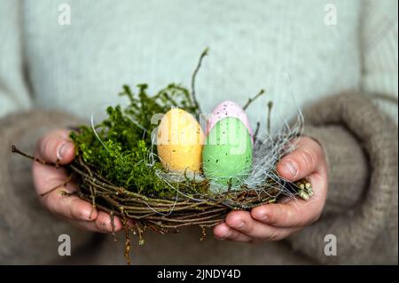 Nisten Sie mit bunten ostereiern in weiblichen Händen, Osterdekor im rustikalen Stil Stockfoto