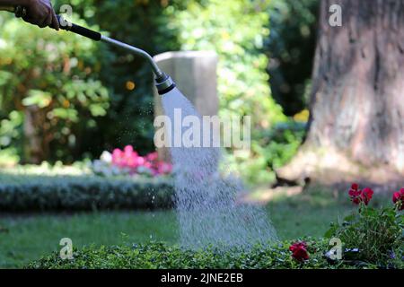 Hamburg, Deutschland. 10. August 2022. Ein Grab auf dem Ohldorf Friedhof in Hamburg wird bewässert. Quelle: Markus Tischler/dpa/Alamy Live News Stockfoto