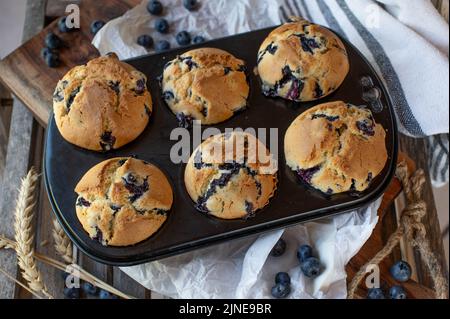 Frisch gebackene Bluberry Muffins in einer Muffin-Dose auf Holzhintergrund Stockfoto