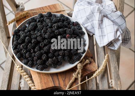 Frische Brombeeren auf einem Teller Stockfoto