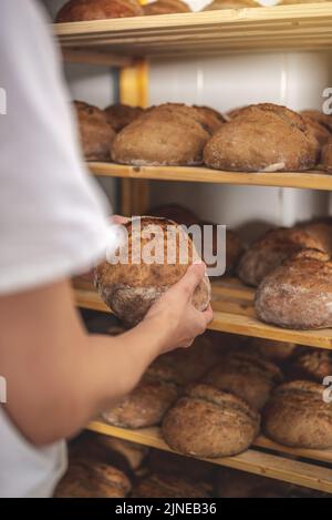 In der Bäckerei liegt frisch gebackenes Vollkornbrot mit goldener knuspriger Kruste auf Sauerteig auf den Regalen. Stockfoto