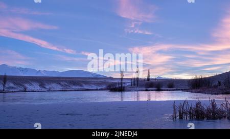 Pappelbäume am Loch Cameron, Sonnenaufgang in Twizel, Neuseeland. Stockfoto