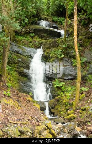 Wasserfall in Kylemore Abbey, Kylemore, Co. Galway, Irland Stockfoto