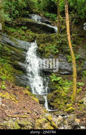 Wasserfall in Kylemore Abbey, Kylemore, Co. Galway, Irland Stockfoto