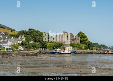 King John Castle, Carlingford, Irland Stockfoto