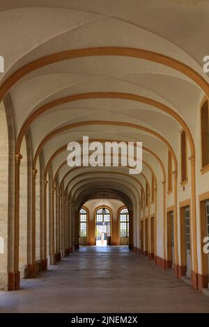 Cloître. Abbatiale Saint-Pierre et Saint-Paul. Cluny. Saône-et-Loire. Bourgogne. Frankreich. Europa. Stockfoto