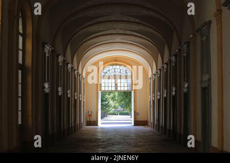 Cloître. Abbatiale Saint-Pierre et Saint-Paul. Cluny. Saône-et-Loire. Bourgogne. Frankreich. Europa. Stockfoto