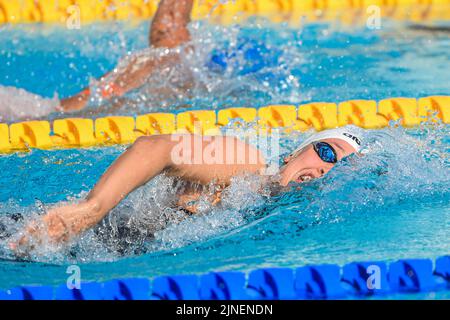 Rom, Italien. 11. August 2022. ROM, ITALIEN - 11. AUGUST: Athlet während der Frauen-Freestyle 100m beim European Aquatics Roma 2022 im Stadio del Nuoto am 11. August 2022 in Rom, Italien (Foto von Nikola Krstic/Orange Picics) Credit: Orange Pics BV/Alamy Live News Stockfoto