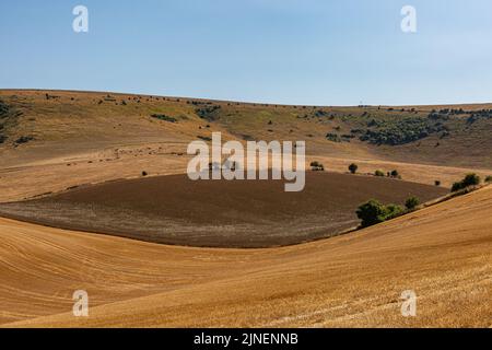 Eine trockene Sussex Farmlandschaft an einem heißen Sommertag Stockfoto