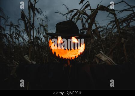 Gruselige Vogelscheuche mit Kürbiskopf in Hut und Mantel auf nächtlichen Kornfeldern. Gruseliges Halloween Urlaubskonzept. Halloweens Hintergrund Stockfoto