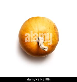 Orange Kürbis isoliert auf weißem Hintergrund. Food-Fotografie. Halloween-Konzept. Draufsicht. Teil des Satzes verschiedene Arten von Kürbissen. Stockfoto