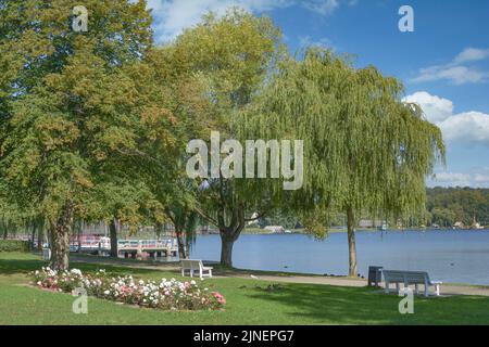 Seepromenade am Krakower See in Krakau am See, Mecklenburgische Seenplatte, Deutschland Stockfoto